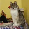 Отзыв от Зоя Вешнякова
